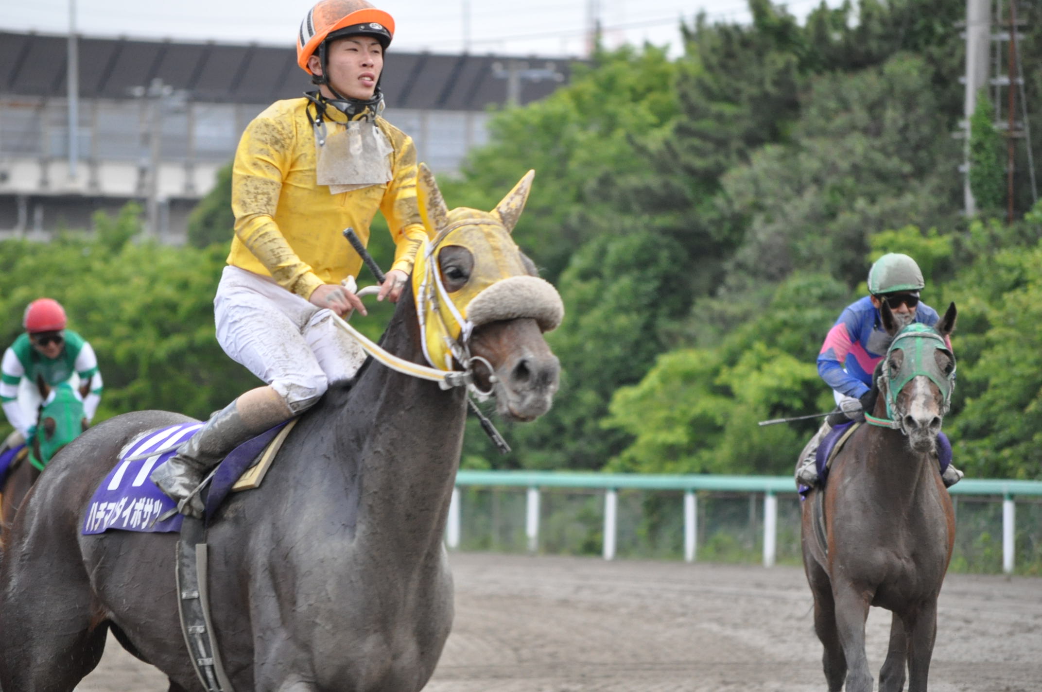 第１３回京成盃グランドマイラーズ レポート ディアーウイッシュ重賞初制覇 猫トラックマン 番記者ブログ