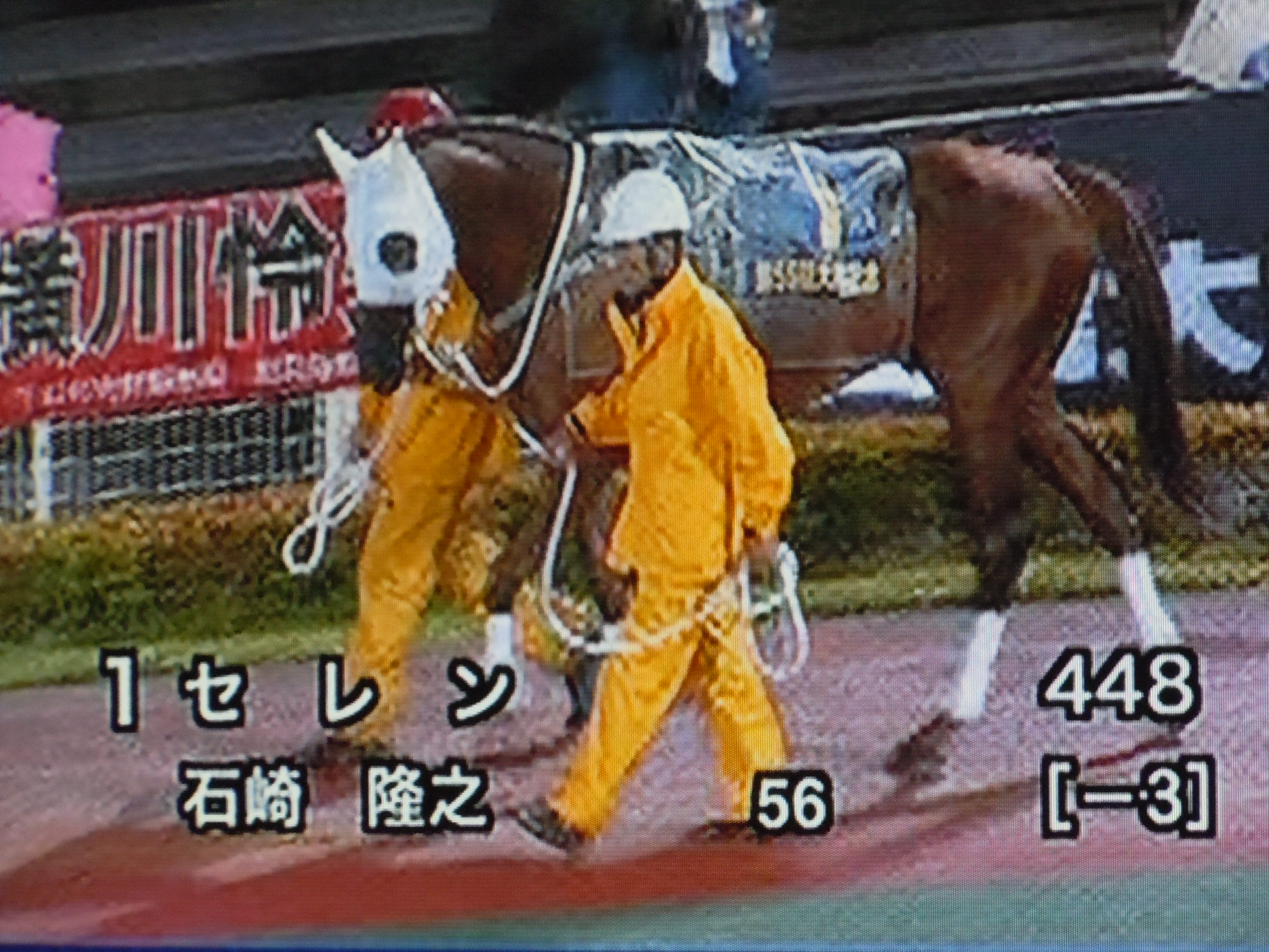 今週は2重賞 大井記念 東京プリンセス賞 猫トラックマン 番記者ブログ 今週は2重賞 大井記念 東京プリンセス賞 猫トラックマン 番記者ブログ