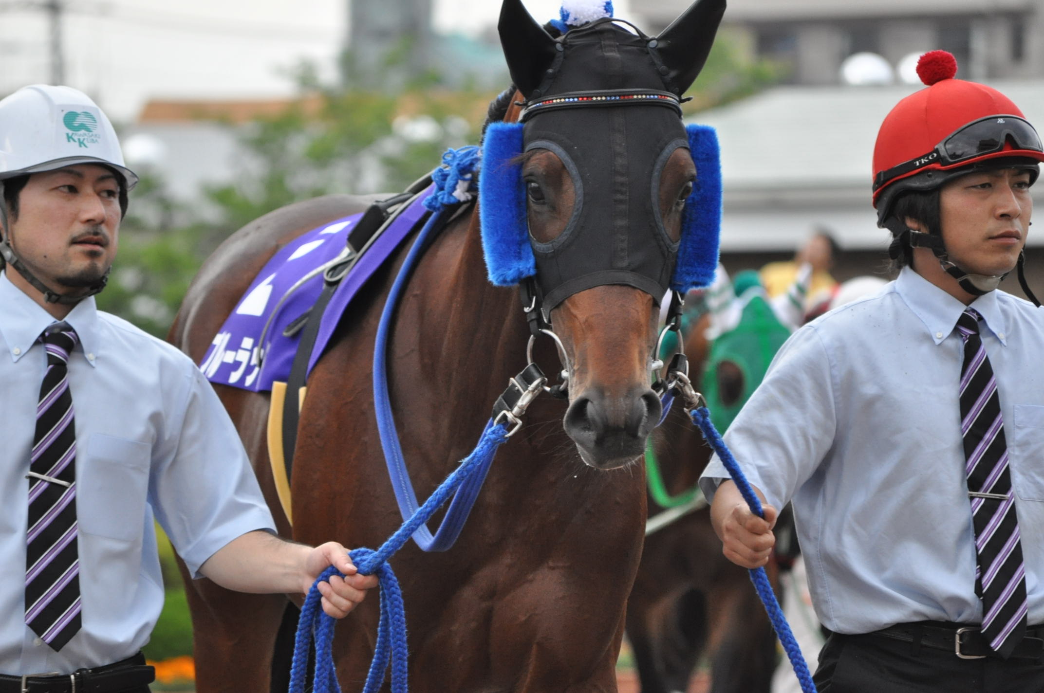 第１３回京成盃グランドマイラーズ レポート ディアーウイッシュ重賞初制覇 猫トラックマン 番記者ブログ