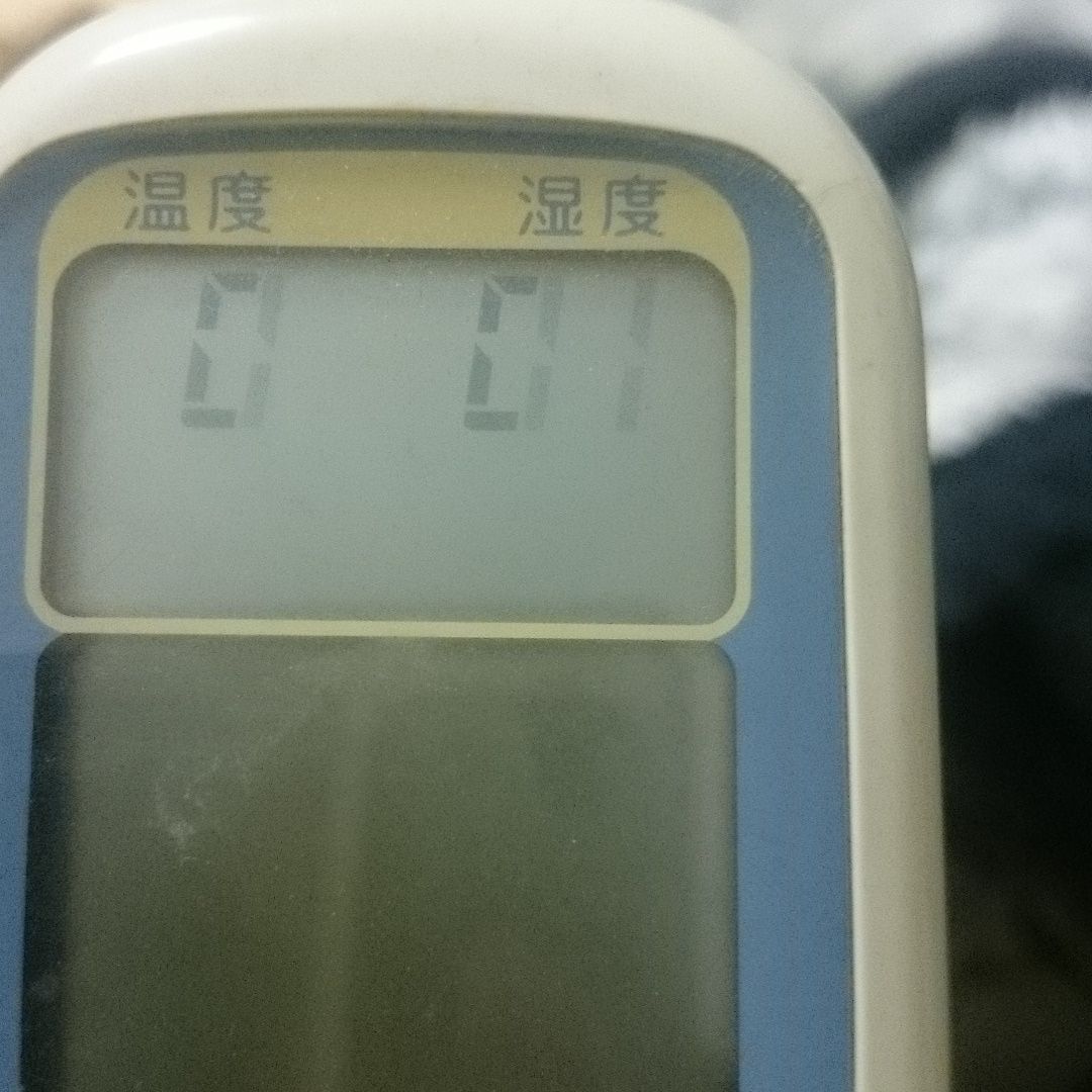 東京湾のシーバス食ってみた まずかった クラウドルアーズブログ