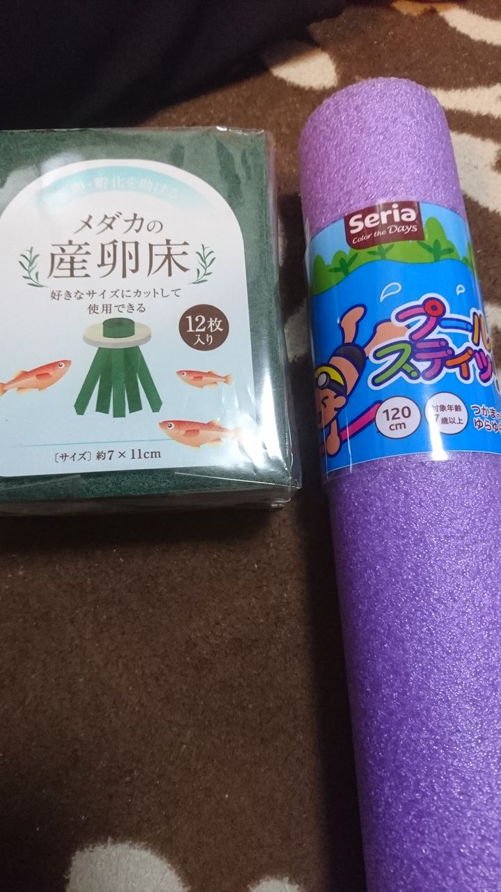 メダカ始めました 自作産卵床も作った話 クラウドルアーズブログ