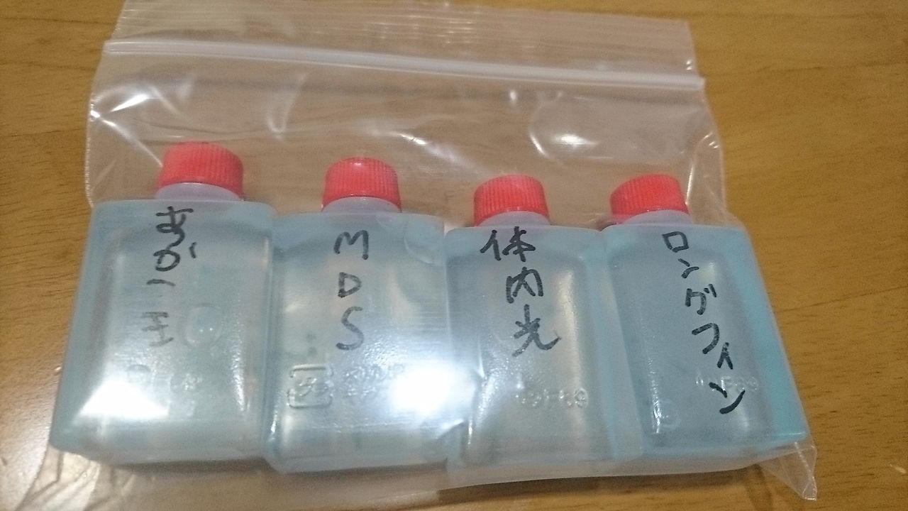 メダカ始めました 自作産卵床も作った話 クラウドルアーズブログ