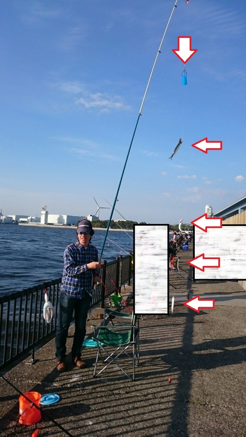 line_17601585962442