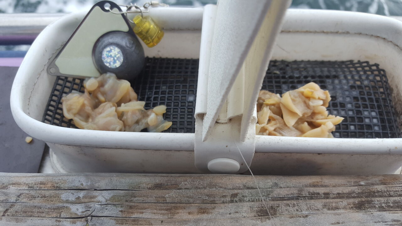 りょうさんのカワハギ釣り教室に参加した話 クラウドルアーズブログ