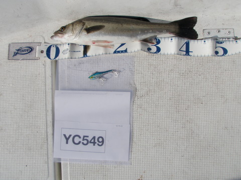 c26151dc.jpg