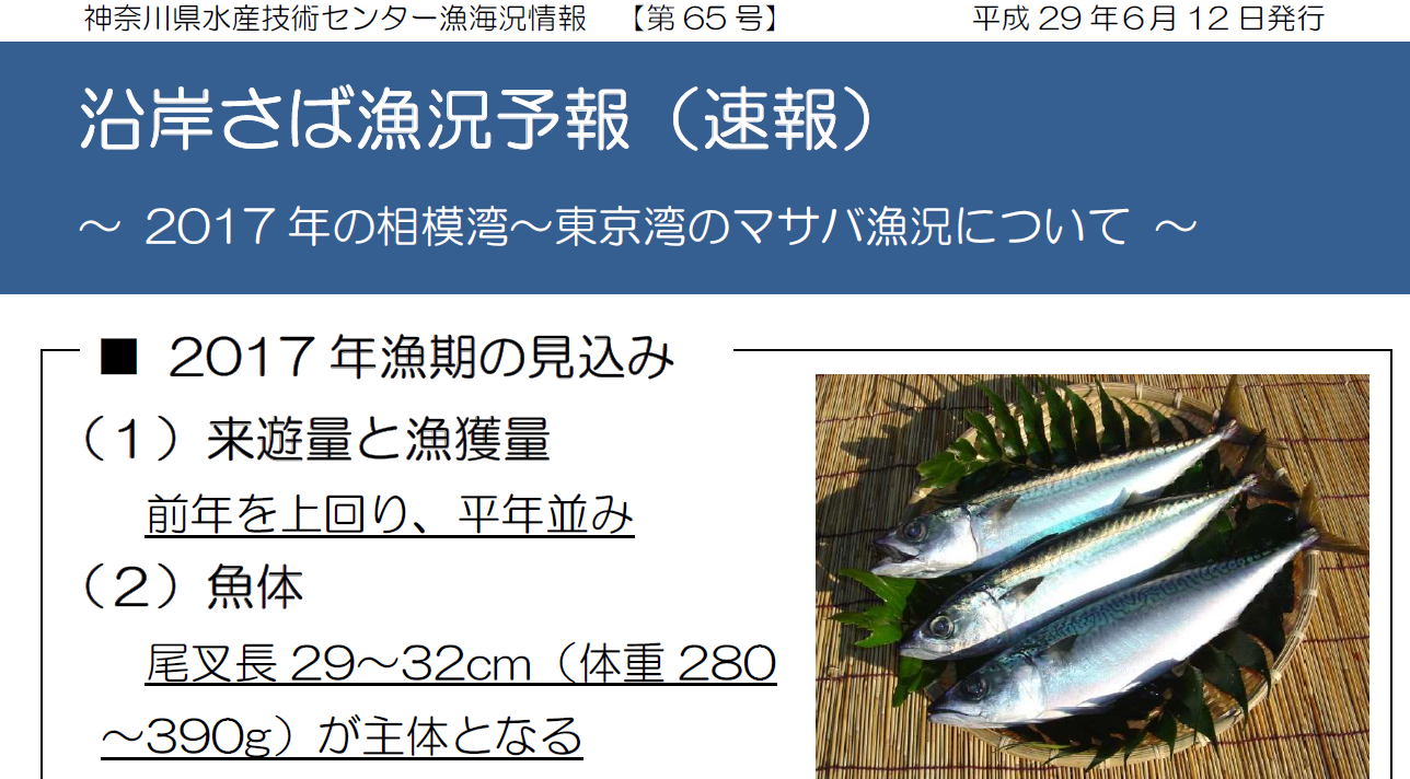 サバ予報が発表されました 今年はサバが釣れるのでしょうか クラウドルアーズブログ サバ予報が発表されました 今年はサバが釣れるのでしょうか クラウドルアーズブログ
