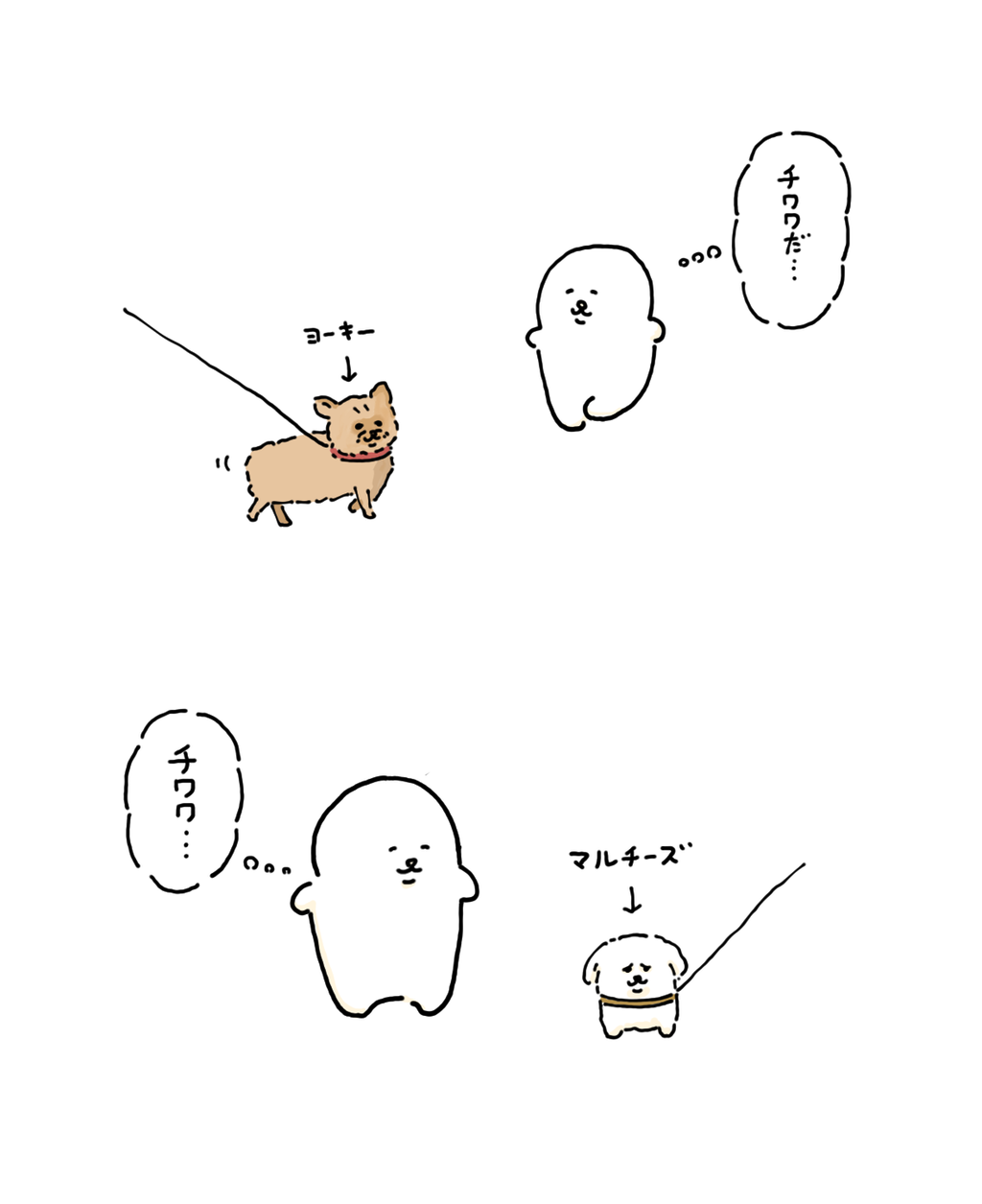 小型犬の名前 フナカワのいしき低めな日記 Powered By ライブドアブログ