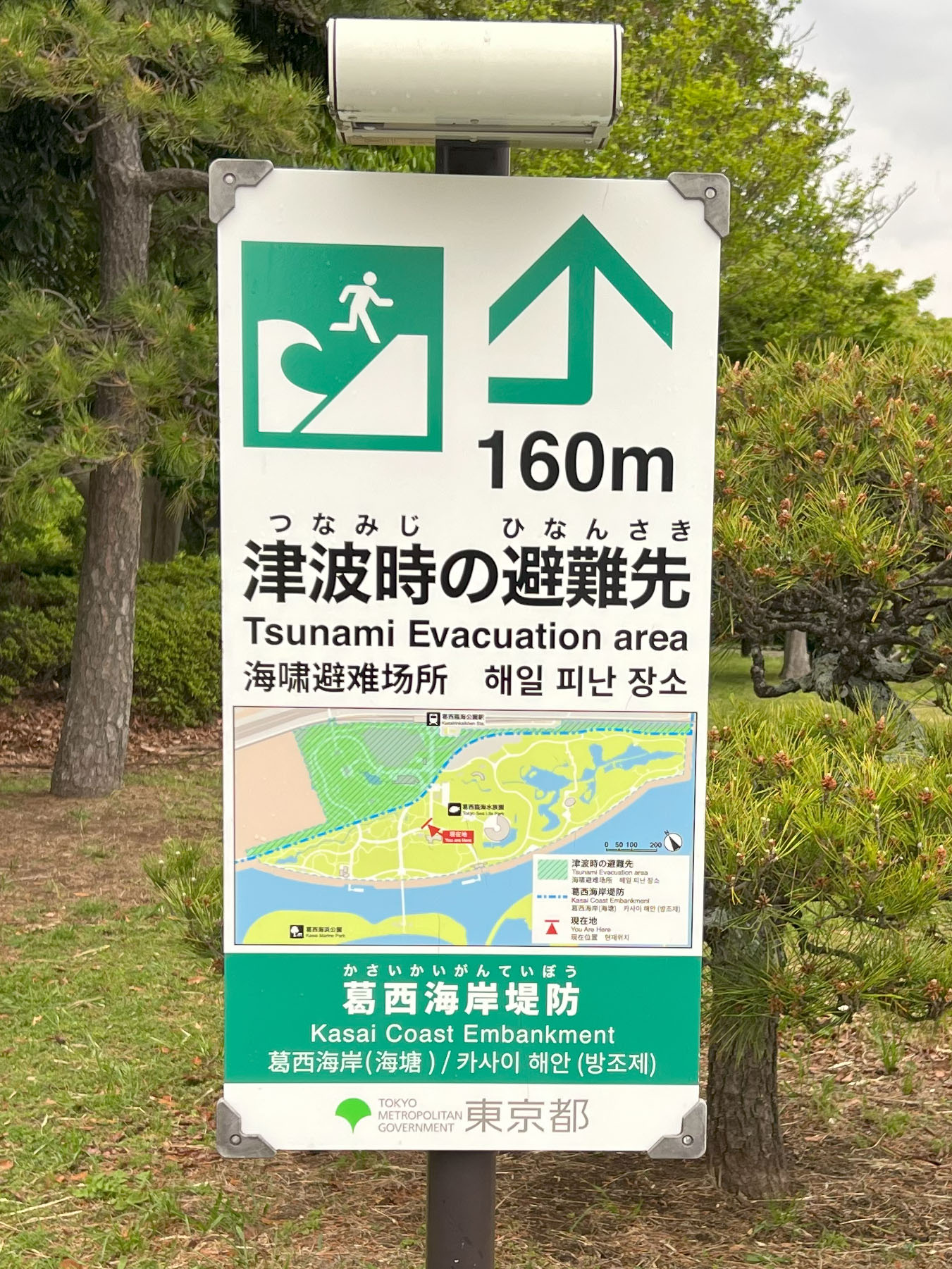 葛西 臨海 公園 津波