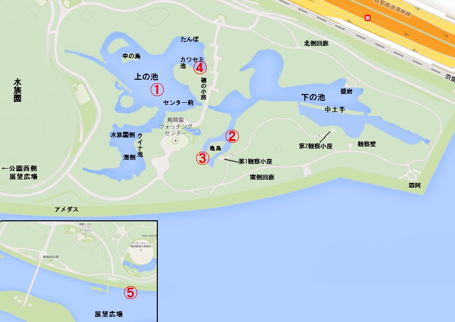 葛西臨海公園 ふなきちのフィールドノート