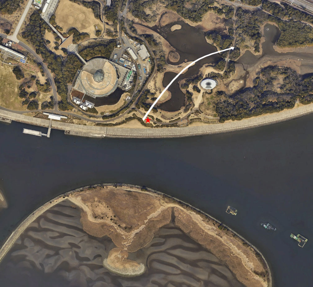 葛西 臨海 公園 津波