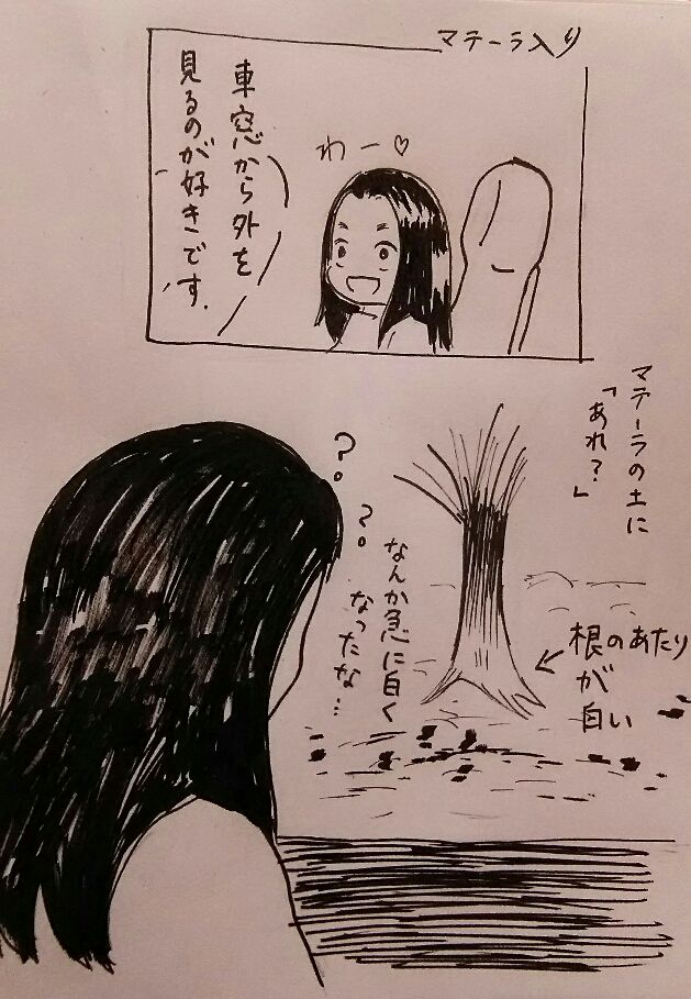 livedoor