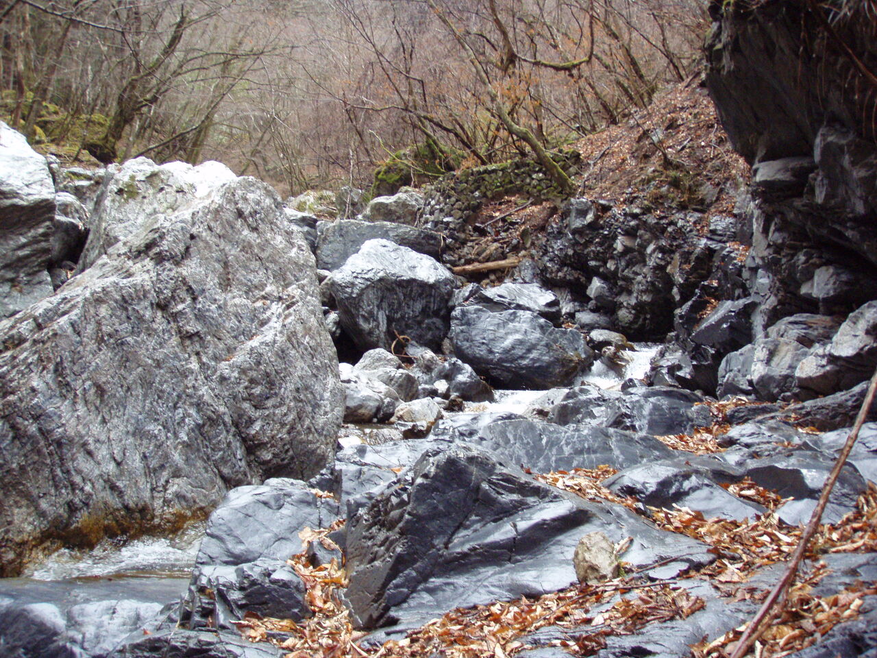 3月2日 秩父 ズンドコおやじの渓流釣り