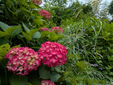 PXL_20250613_020446247