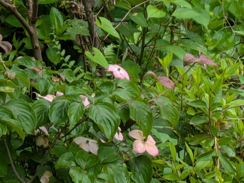 PXL_20250613_235741561