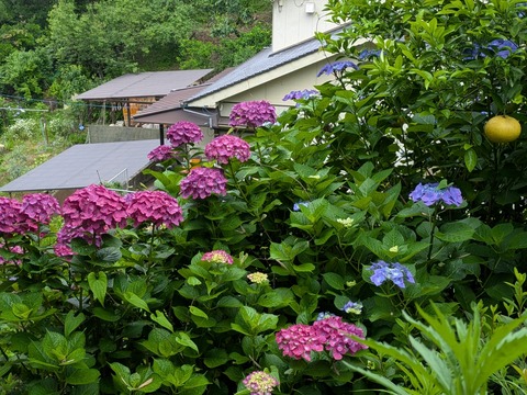 PXL_20250613_235718788