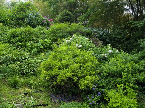 PXL_20250613_020531522