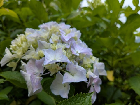 PXL_20250614_000538677