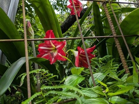 PXL_20250611_043002081