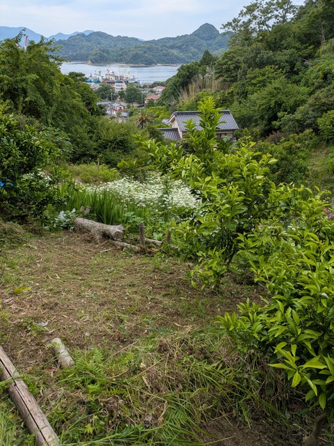 PXL_20250606_055507612