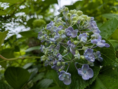 PXL_20250614_000438956