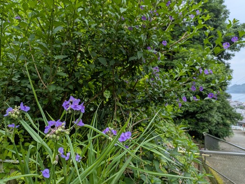 PXL_20250608_010429816