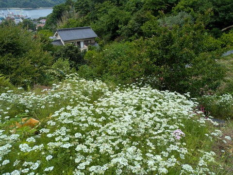 PXL_20250606_042842920