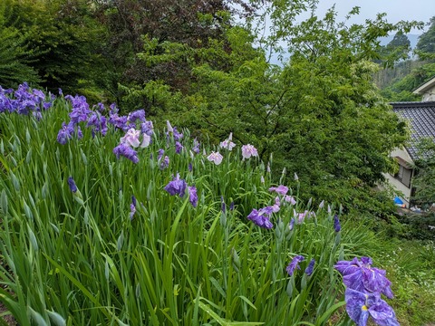 PXL_20250609_021026084