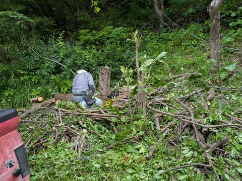 PXL_20250602_003508055