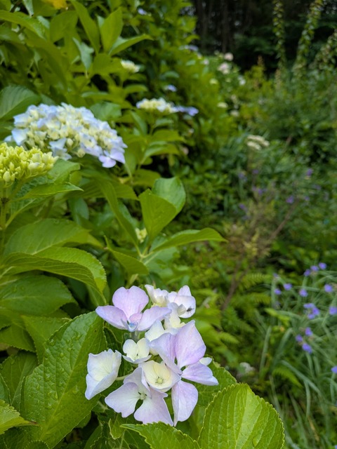 PXL_20250614_000921857