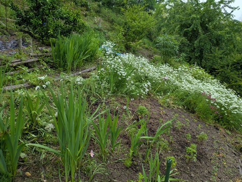 PXL_20250609_021245887