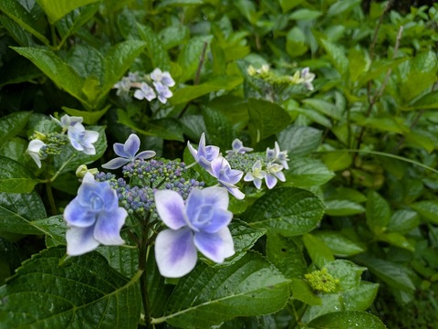 PXL_20250614_004417857