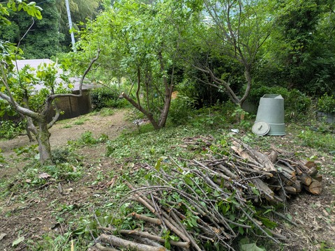 PXL_20250602_014721144