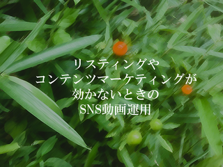 リスティングやコンテンツマーケティングが効かないときのSNS動画運用