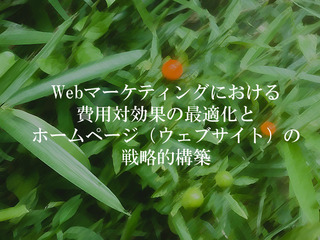 Webマーケティングにおける費用対効果の最適化とホームページ（ウェブサイト）の戦略的構築