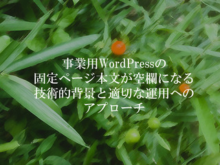 事業用WordPressの固定ページ本文が空欄になる技術的背景と適切な運用へのアプローチ