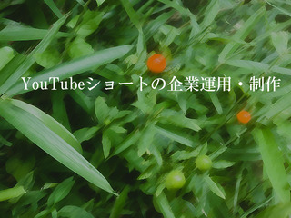 YouTubeショートの企業運用・制作