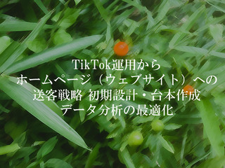 TikTok運用からホームページ（ウェブサイト）への送客戦略 初期設計・台本作成・データ分析の最適化
