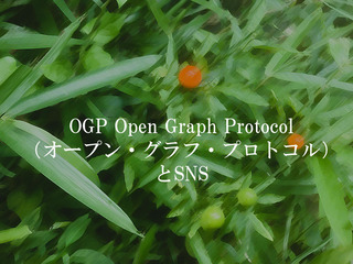 OGP Open Graph Protocol（オープン・グラフ・プロトコル）とSNS