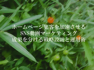 ホームページ集客を加速させるSNS動画マーケティング 成果を分ける戦略設計と運用術