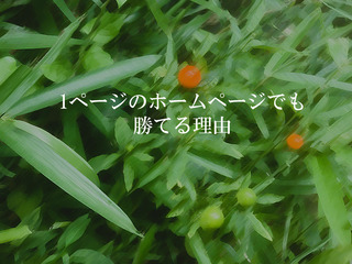 1ページのホームページでも勝てる理由