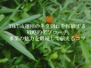 TikTok運用のネタ切れを打破する戦略的アプローチ 事業の魅力を継続して伝えるコツ