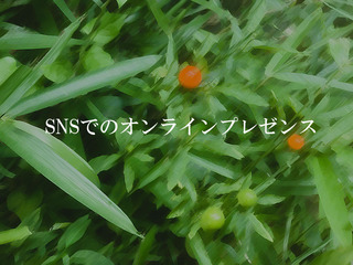 SNSでのオンラインプレゼンス