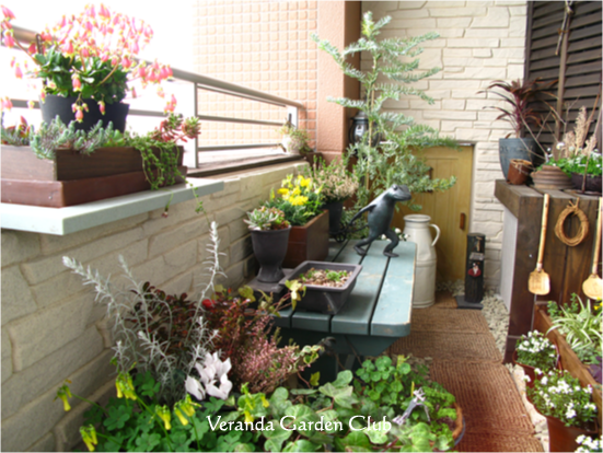 ファンホーム 注文住宅 自然素材 越谷 地鎮祭 梅雨 車 性能向上 運転技術 家選び 基準 駐車場 カーポート マンション 優先順位 意見 一致 日当たり 洗濯物 ベランダガーデン 盆栽 落下物 ファンホームのはなまる日記