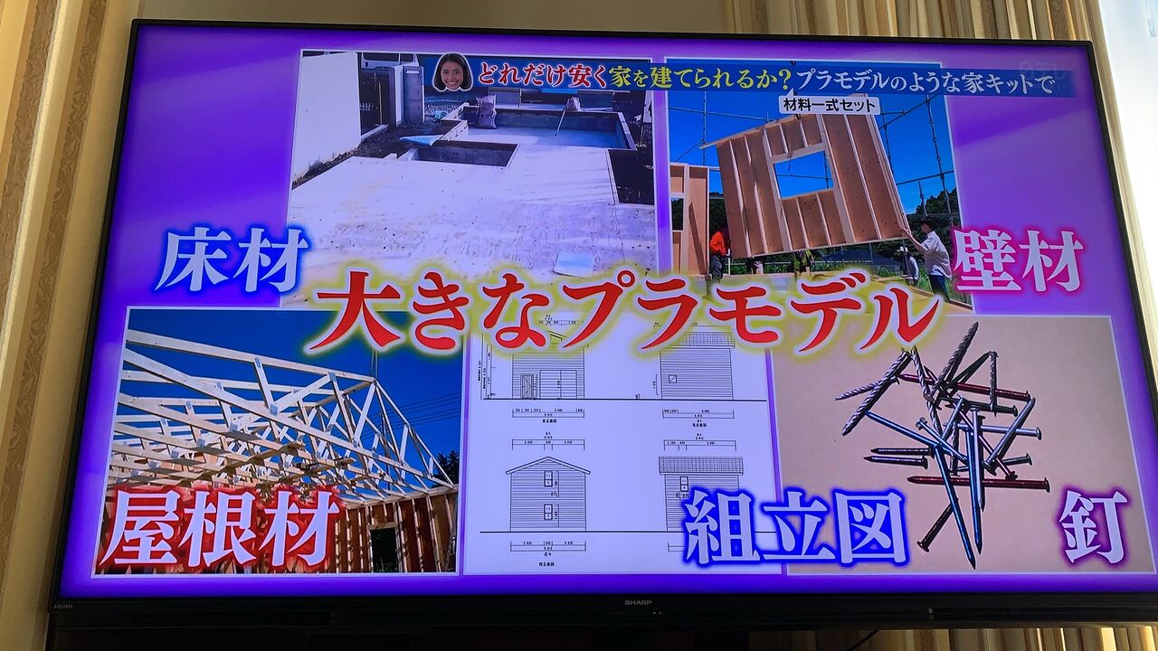 森泉 ファンホームのはなまる日記