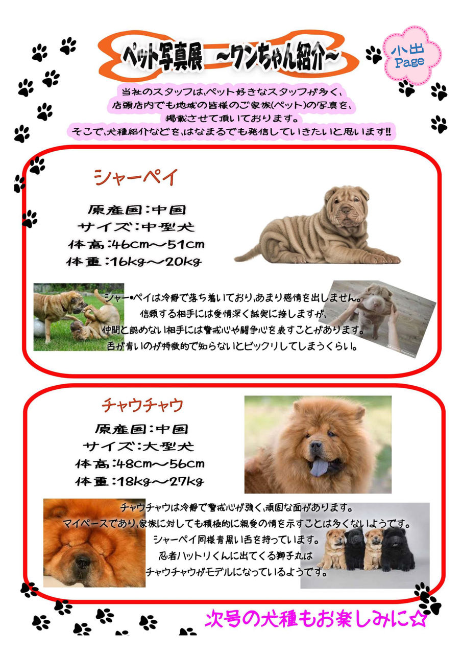 ファンホームのはなまる通信 7月号 ファンホームのはなまる日記