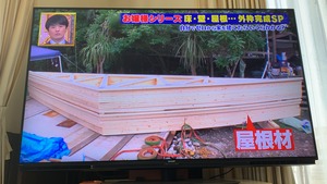 森泉 ファンホームのはなまる日記