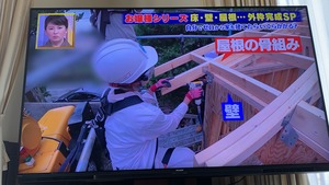 森泉 ファンホームのはなまる日記