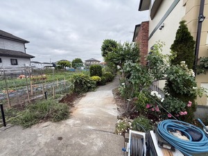 IMG_3173