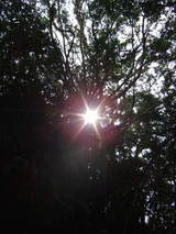 ���δġ�fu-ring��