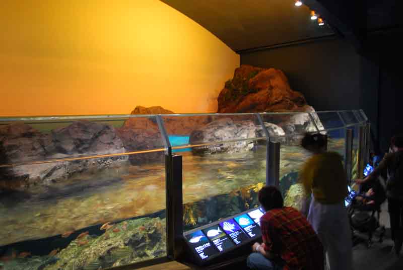 新潟市水族館　マリンピア日本海